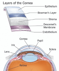 stroma eye